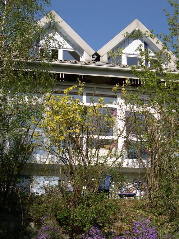 Gesundheitshotel Haus Sonnenstein Залем Екстериор снимка
